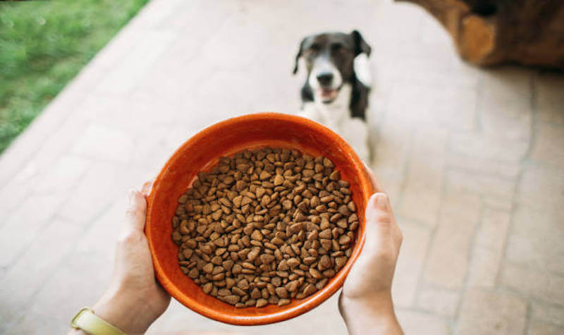 Effective Kibble Choices for Overweight Dog Weight Loss